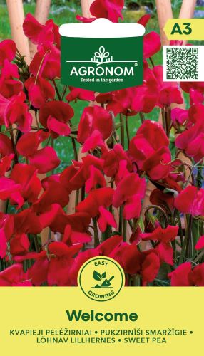 Sweet Pea Welcome Seeds